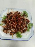 正宗麻辣鱼仔学习